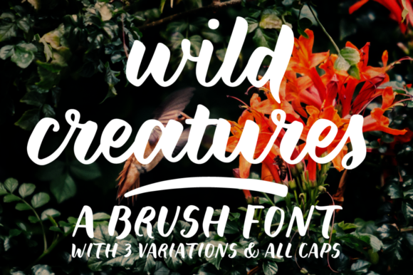 Download Wild Creatures - Premium Resources