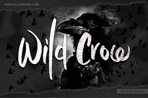 Download Wild Crow - Premium Resources