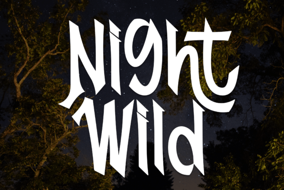 Download Night Wild - Premium Resources