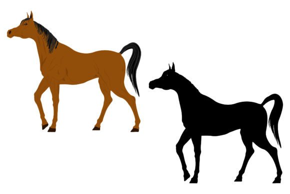 Download Arabian Horse Illustration, Horse Mammal - Mammal Collection